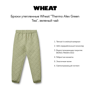 Брюки утепленные Wheat "Thermo Alex Green Tea", зеленый чай